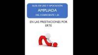 Gu&iacute;a AMPLIADA de uso y aplicaci&oacute;n del coeficiente 1,25 + Tutorial